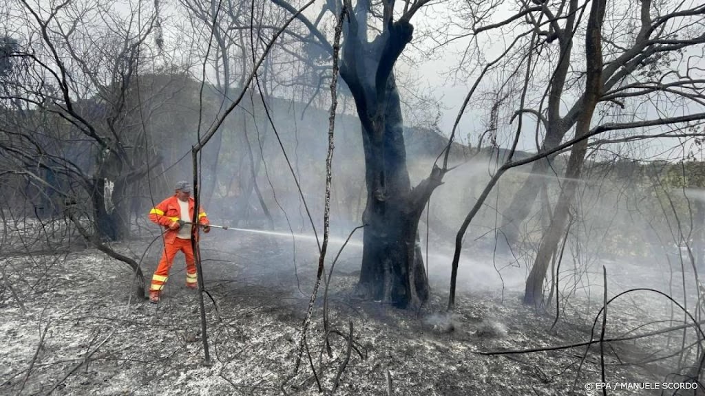 Brandweer Italië druk met bosbranden