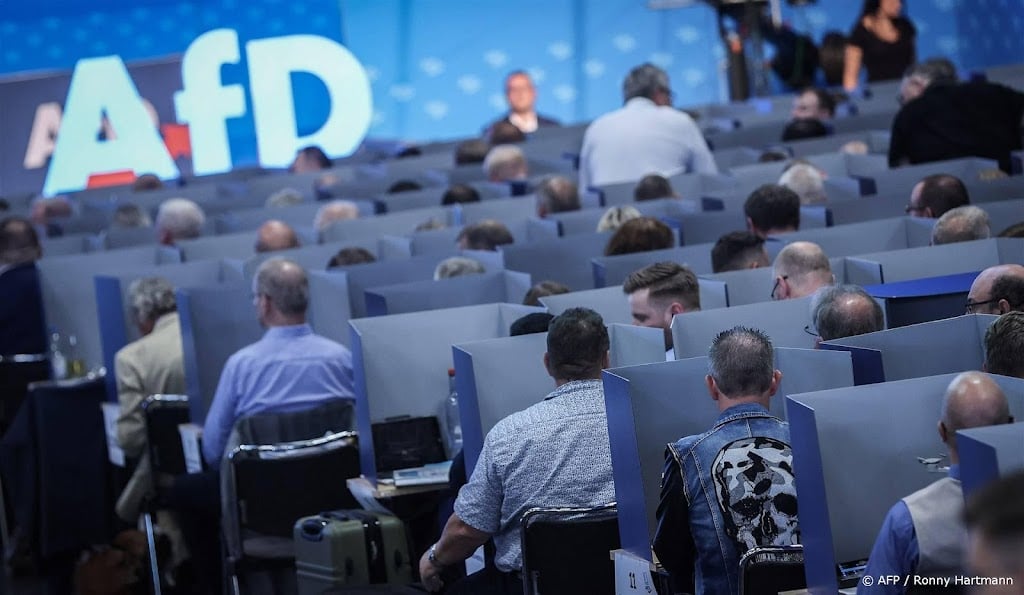 Complottheorieën verspreid tijdens partijtop van rechtse AfD