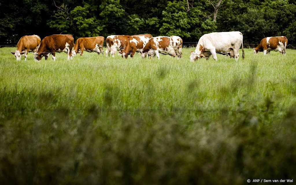 Stikstofnormen worden strenger, natuur blijkt kwetsbaarder 