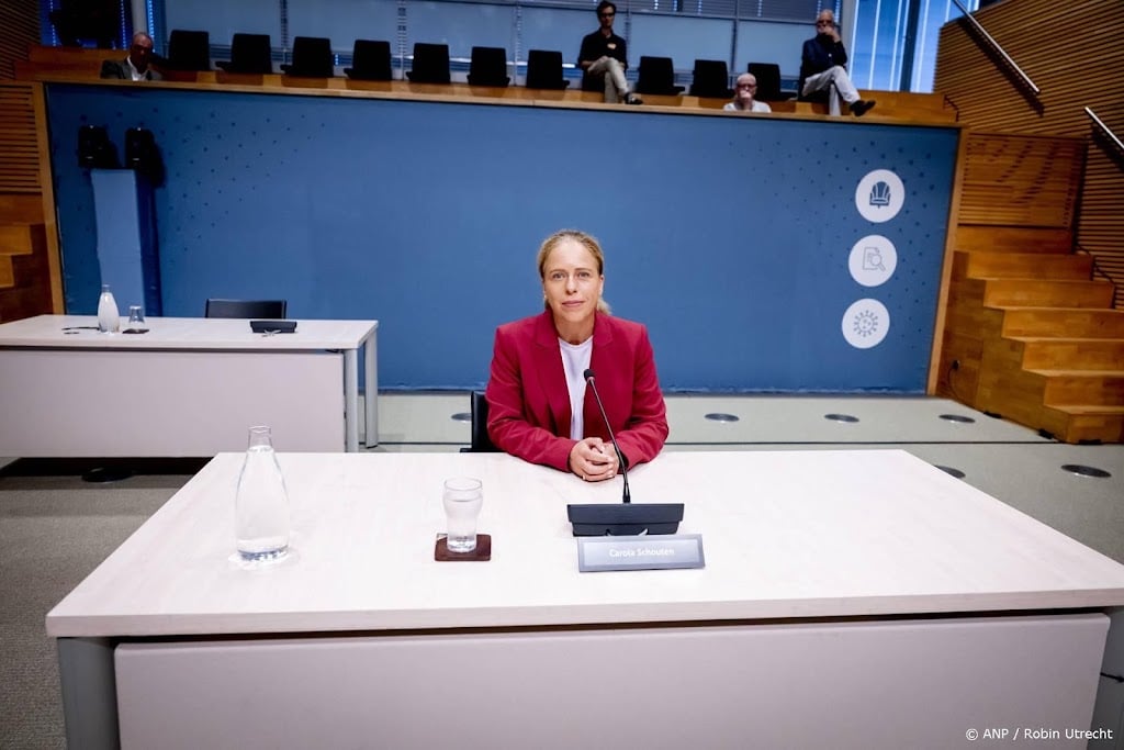 Schouten: niet voldoende recht gedaan aan verschillende motieven