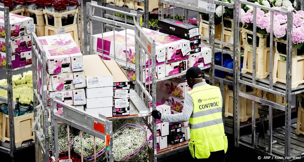 CBS: export van Nederland naar Rusland bijna gehalveerd