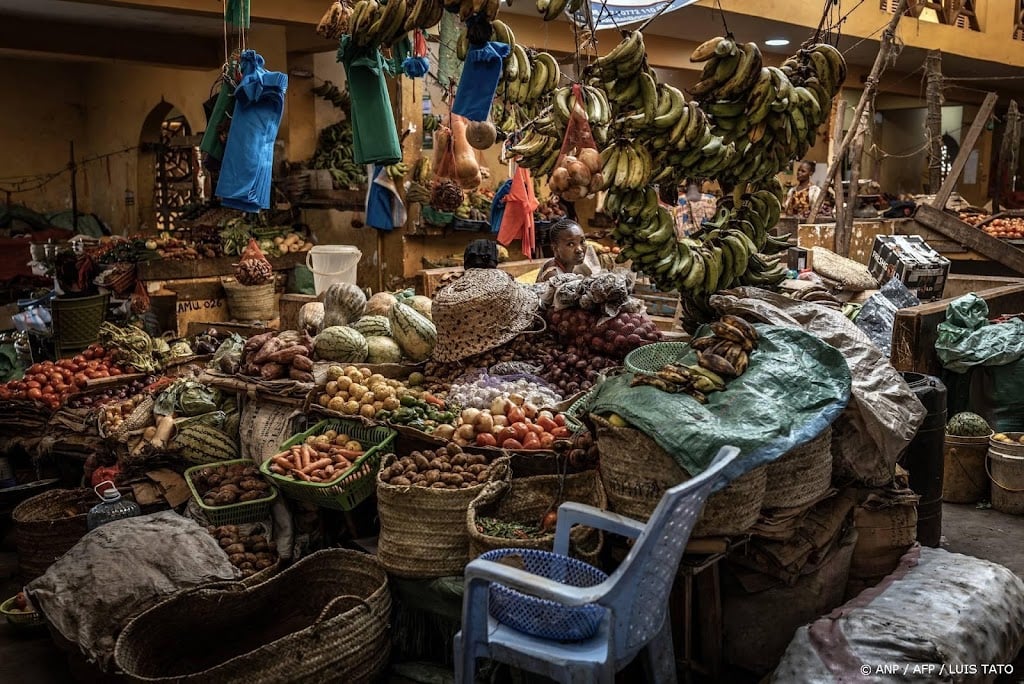 Studie: economie in Afrika gaat vooruit, vrijheid achteruit