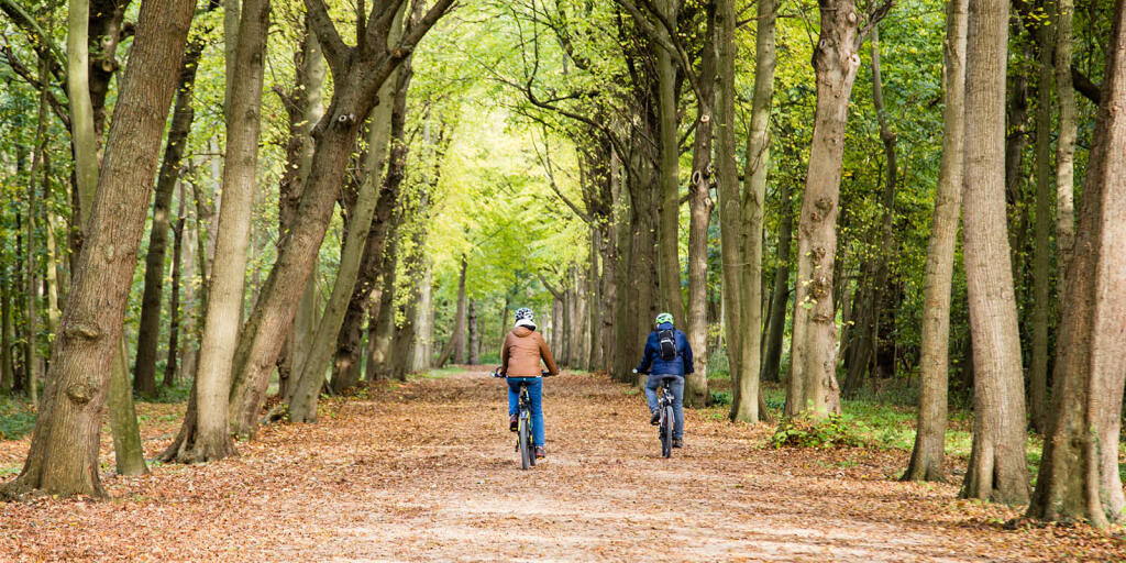  Meer Bomen Nu - verplantmethode verspreidt zich in Provincie Zeeland