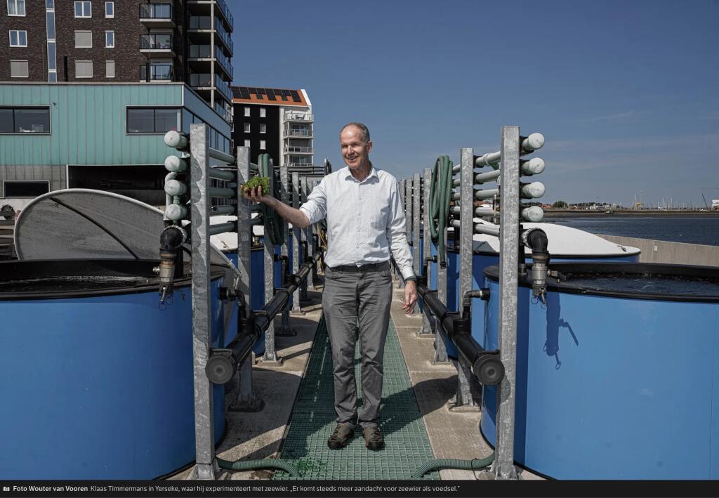  De toekomstige eiwitbronnen hangen aan lijnen in zee