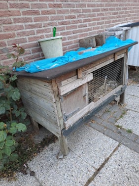 Hokje