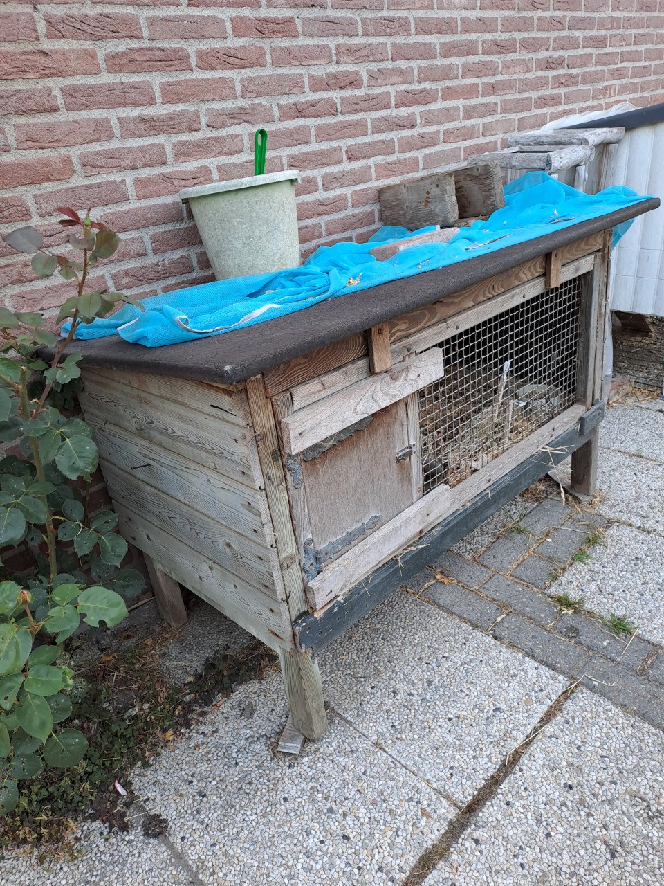Hokje