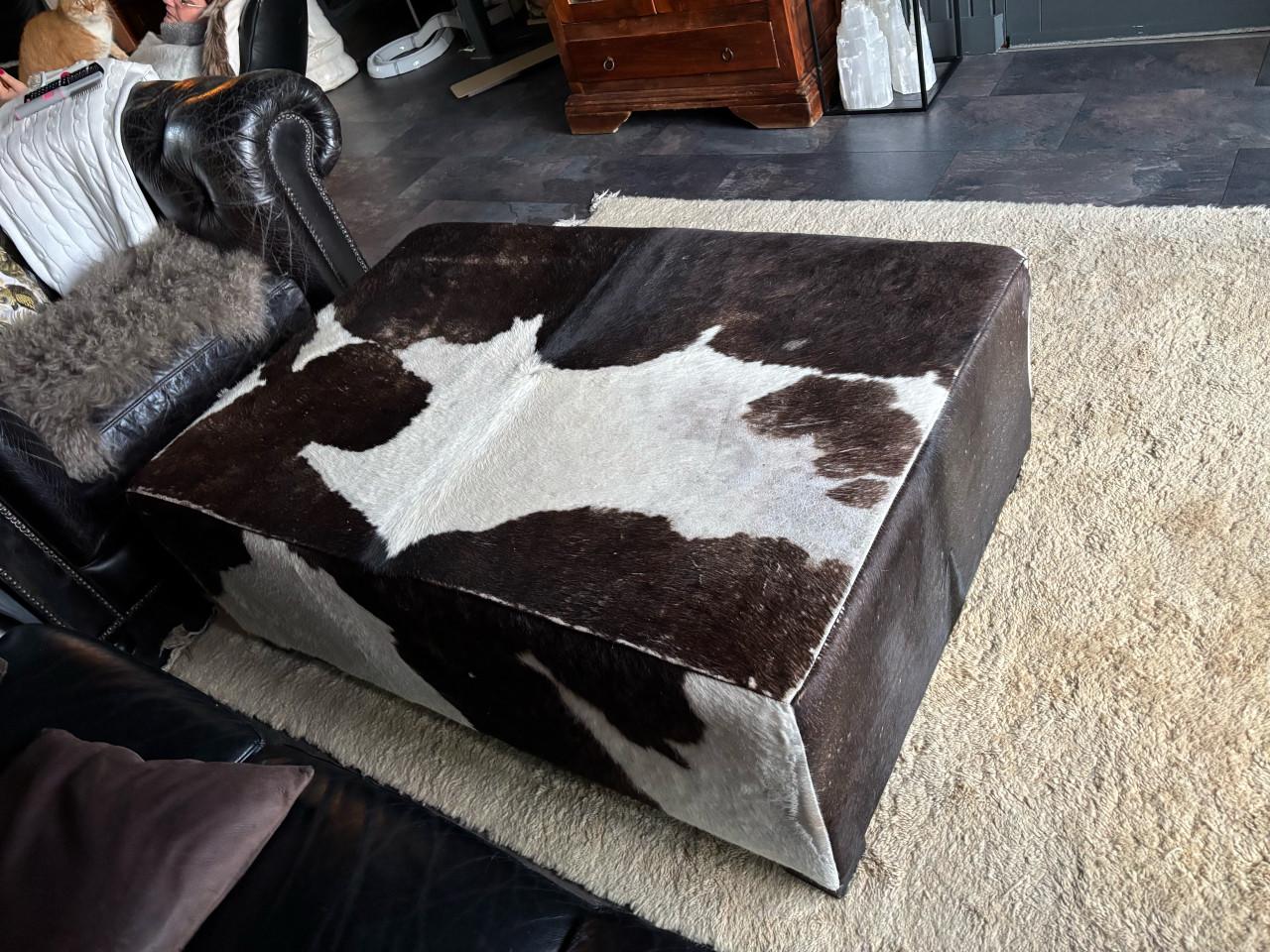 Salontafel/poef/hocker