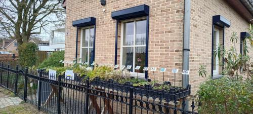 Het plantenkraampje is weer opgestart ! Kom zeker eens langs...