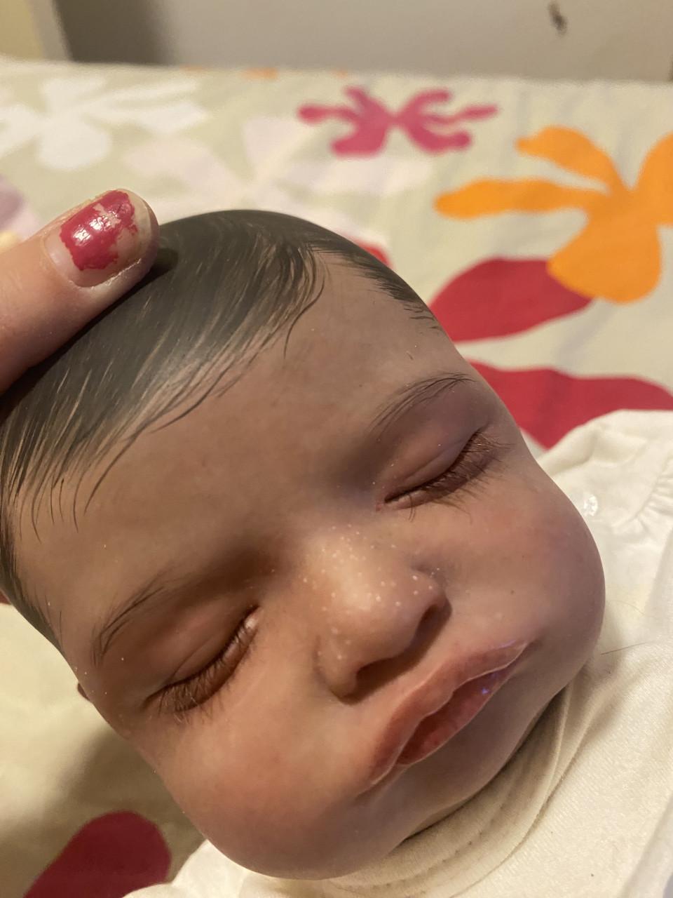 30 reborns voor 500euro