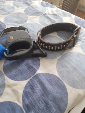 Halsband plus flexilijn  voor bully ,  stafford of andere stevige hond.