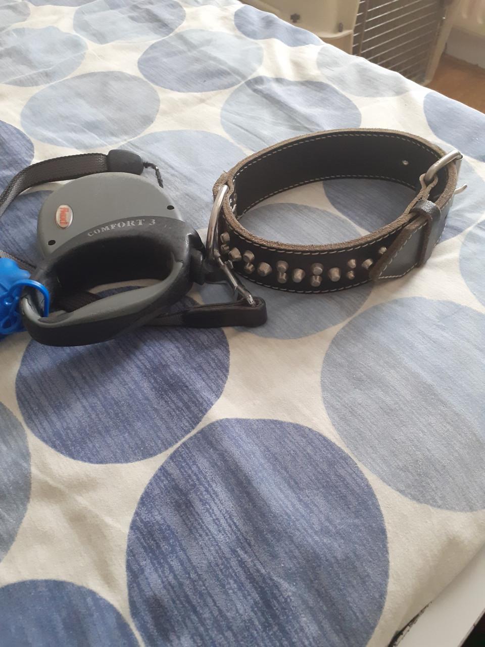Halsband plus flexilijn  voor bully ,  stafford of andere stevige hond.