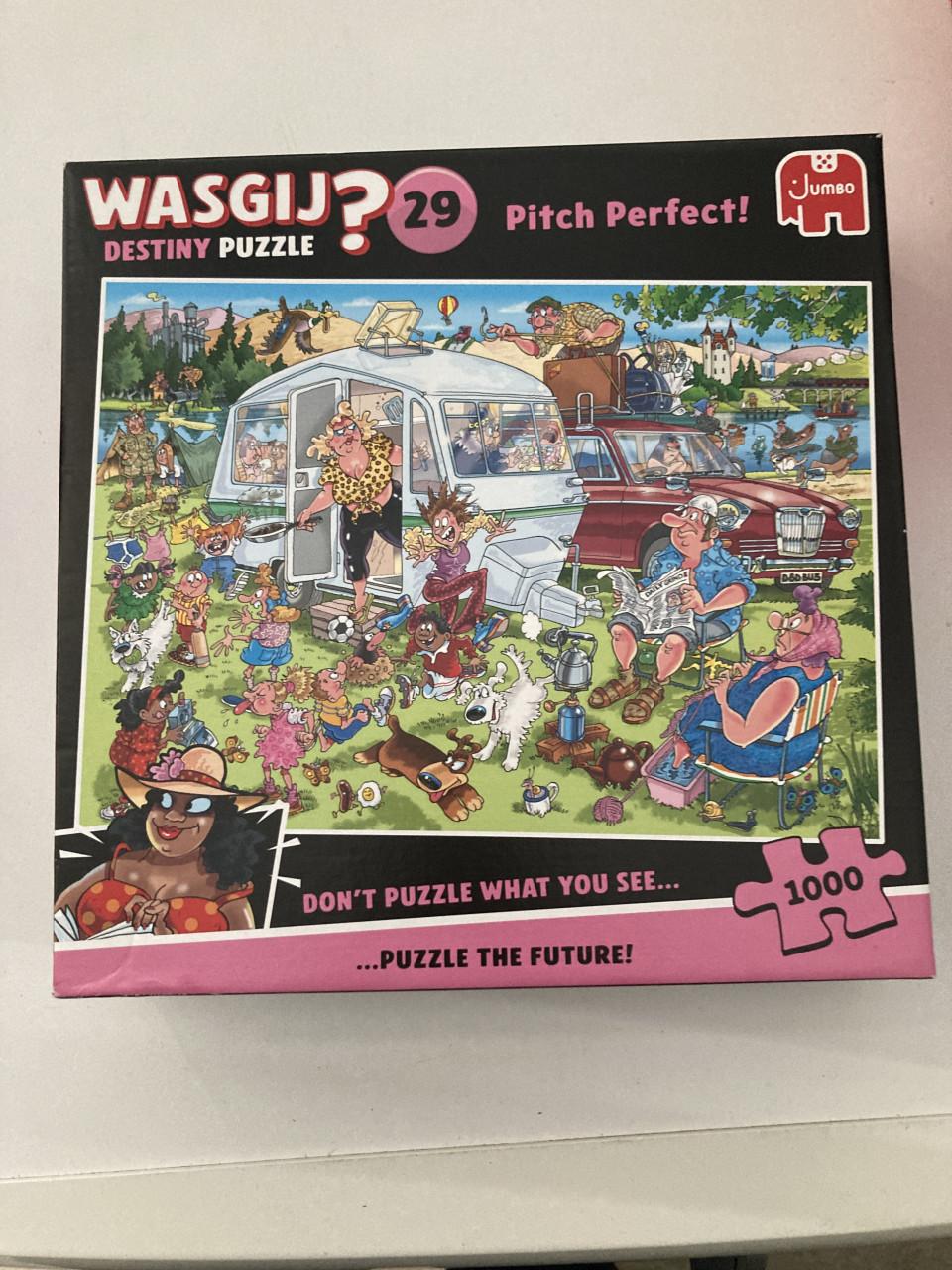 WASGIJ PUZZELS