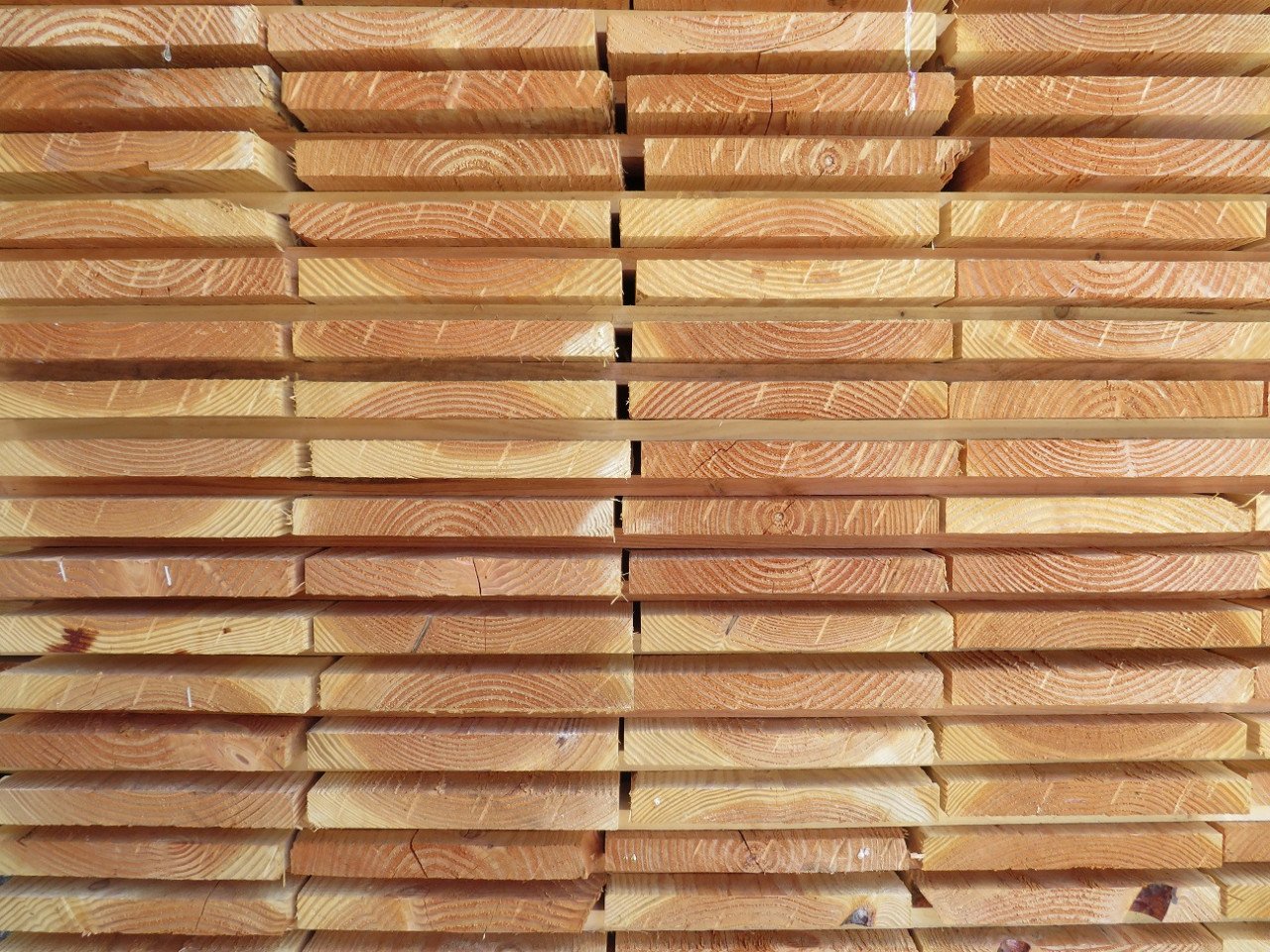 Douglas planken ruim assortiment