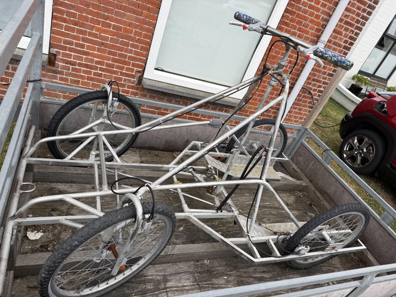 Zeer stabiele 4-wielige Trainingskar / Hondenkar  (Zelfbouw)