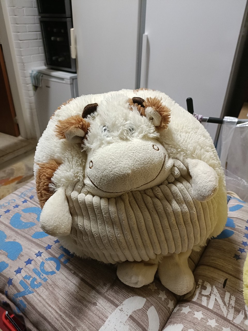 Kussen of knuffel