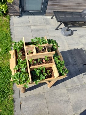 Aardbeien toren
