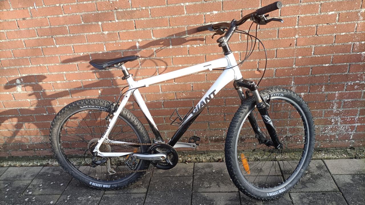 Sportieve herenfiets / mountainbike, Giant, goede en brede banden, 26 inch