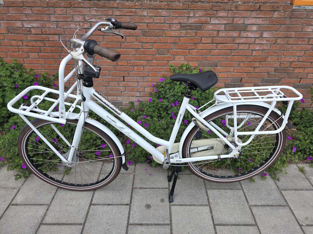 GAZELLE | BELLE ROSA 28 INCH | 56 CM | NEXUS 3