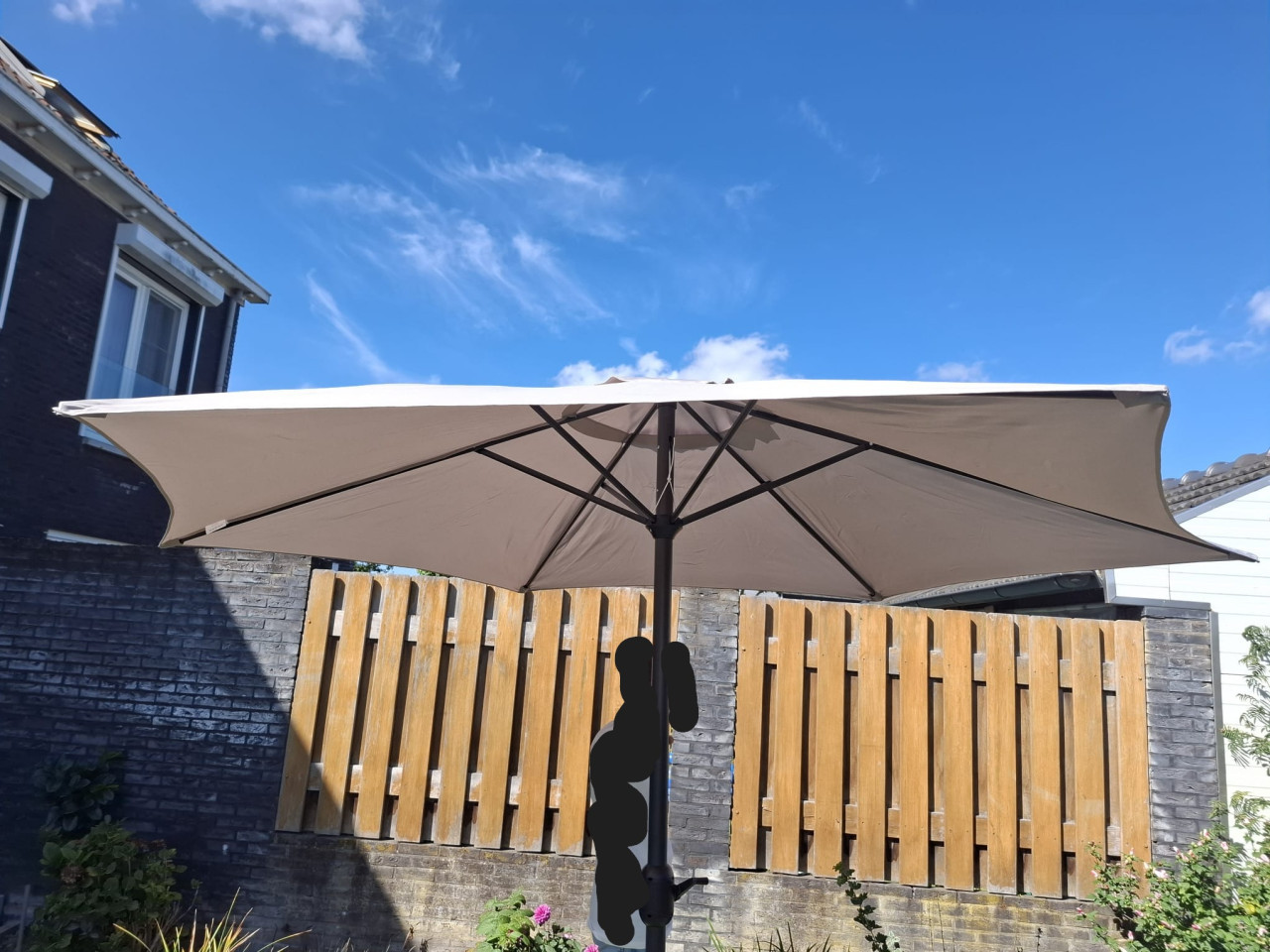 Parasol