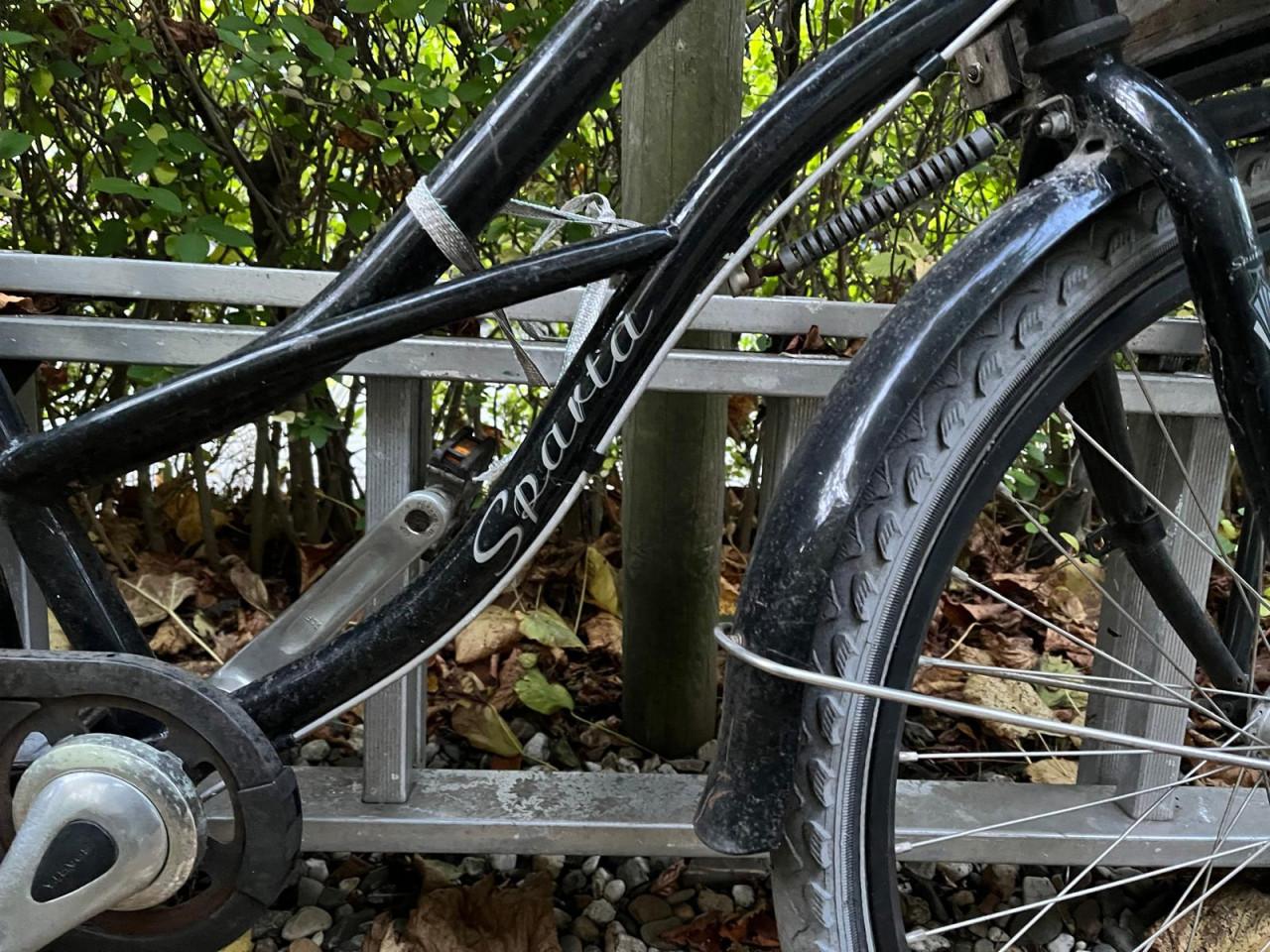 Sparta Bull Bullet damesfiets met transportkist