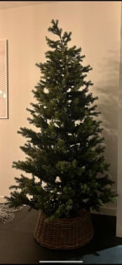 Kerstboom