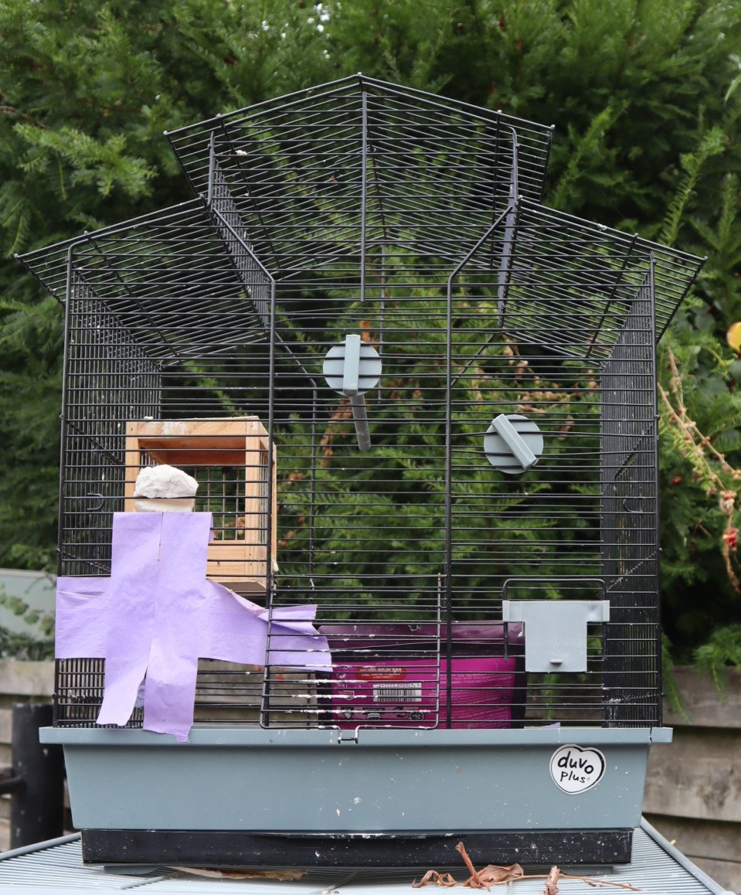 Vogelkooien