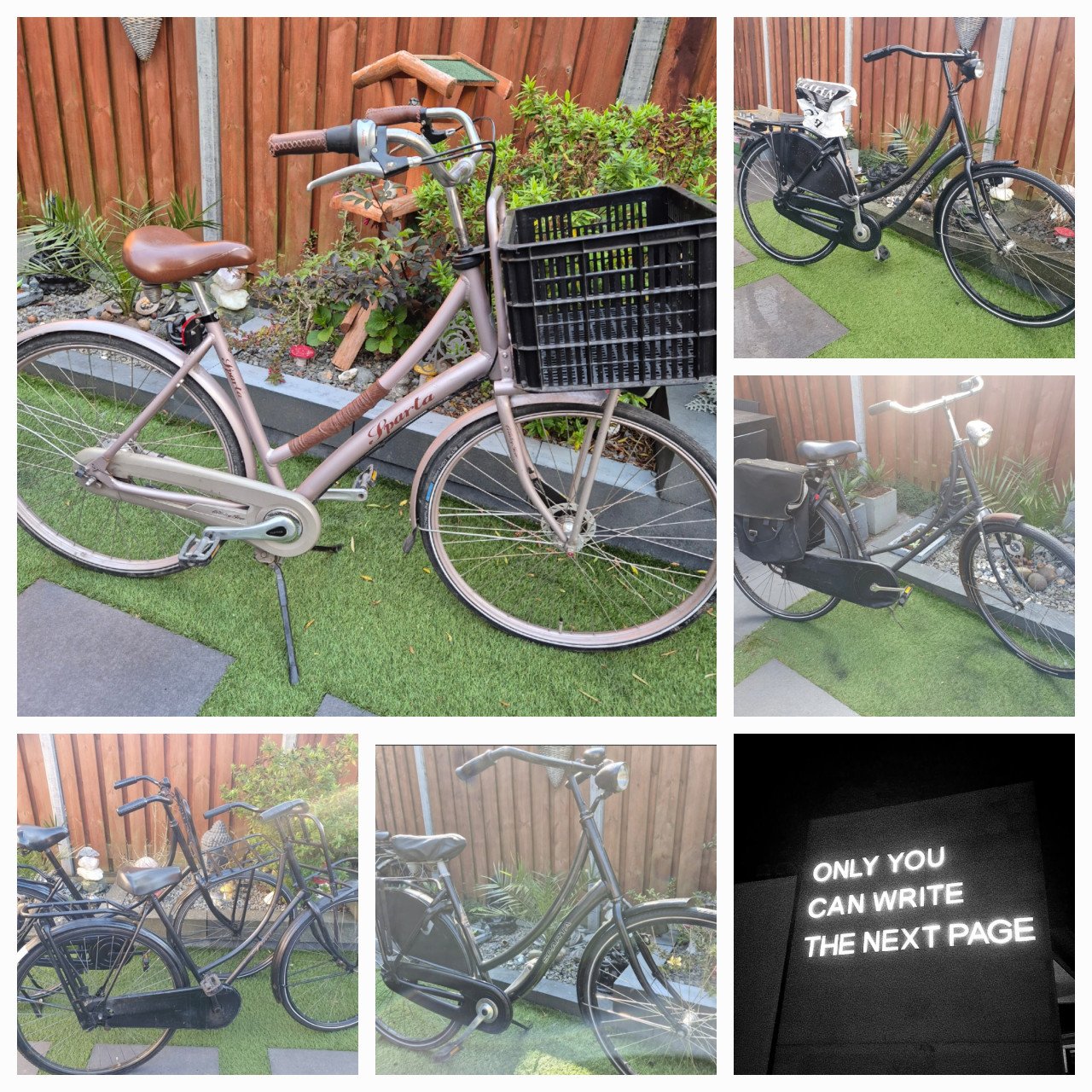 Jonge damesfiets Gazelle | bezorgen mogelijk.