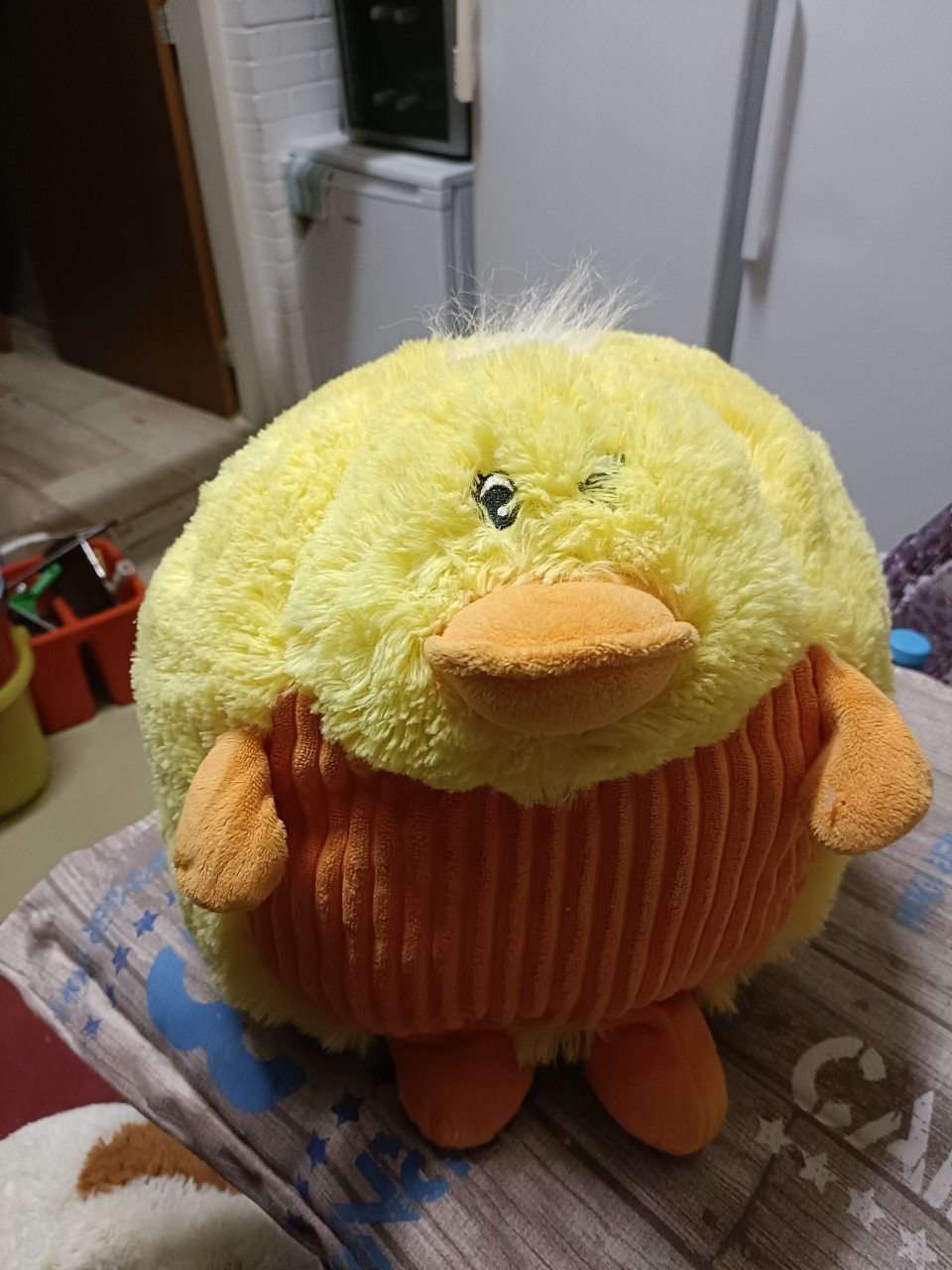 Kussen of knuffel