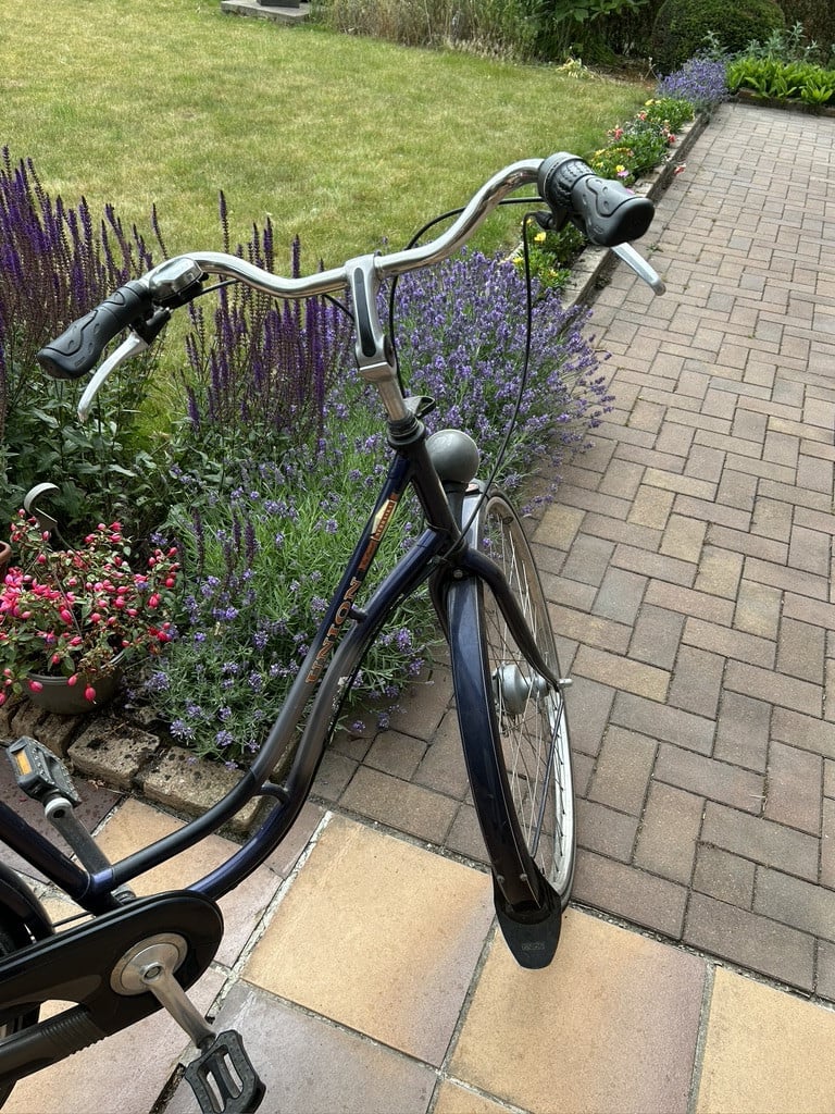 Damesfiets lage instap union