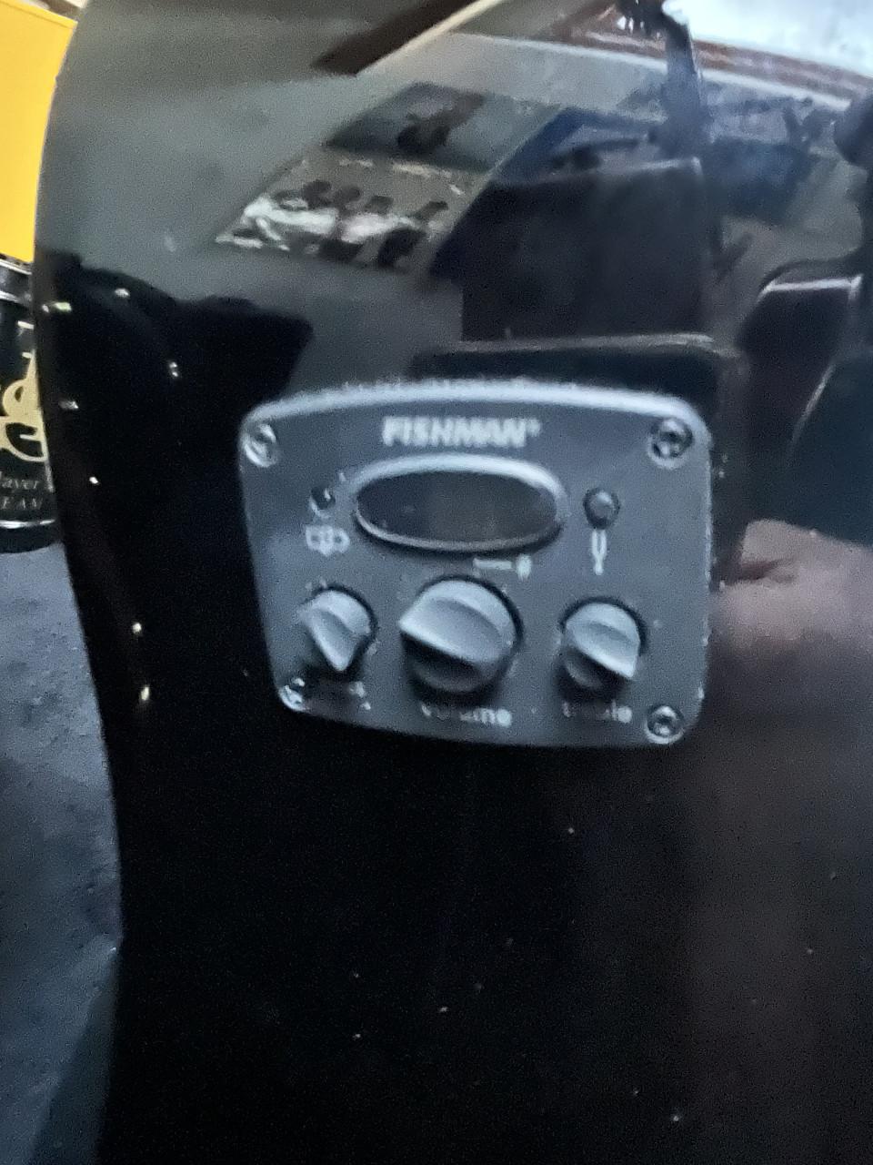 Martin , Fender Akoestische gitaren