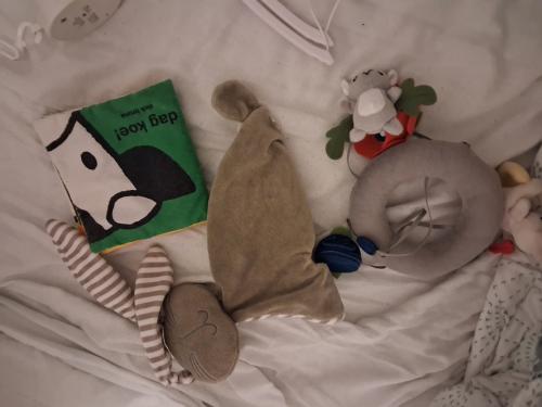 Knuffeltje, boekje, boxmobiel