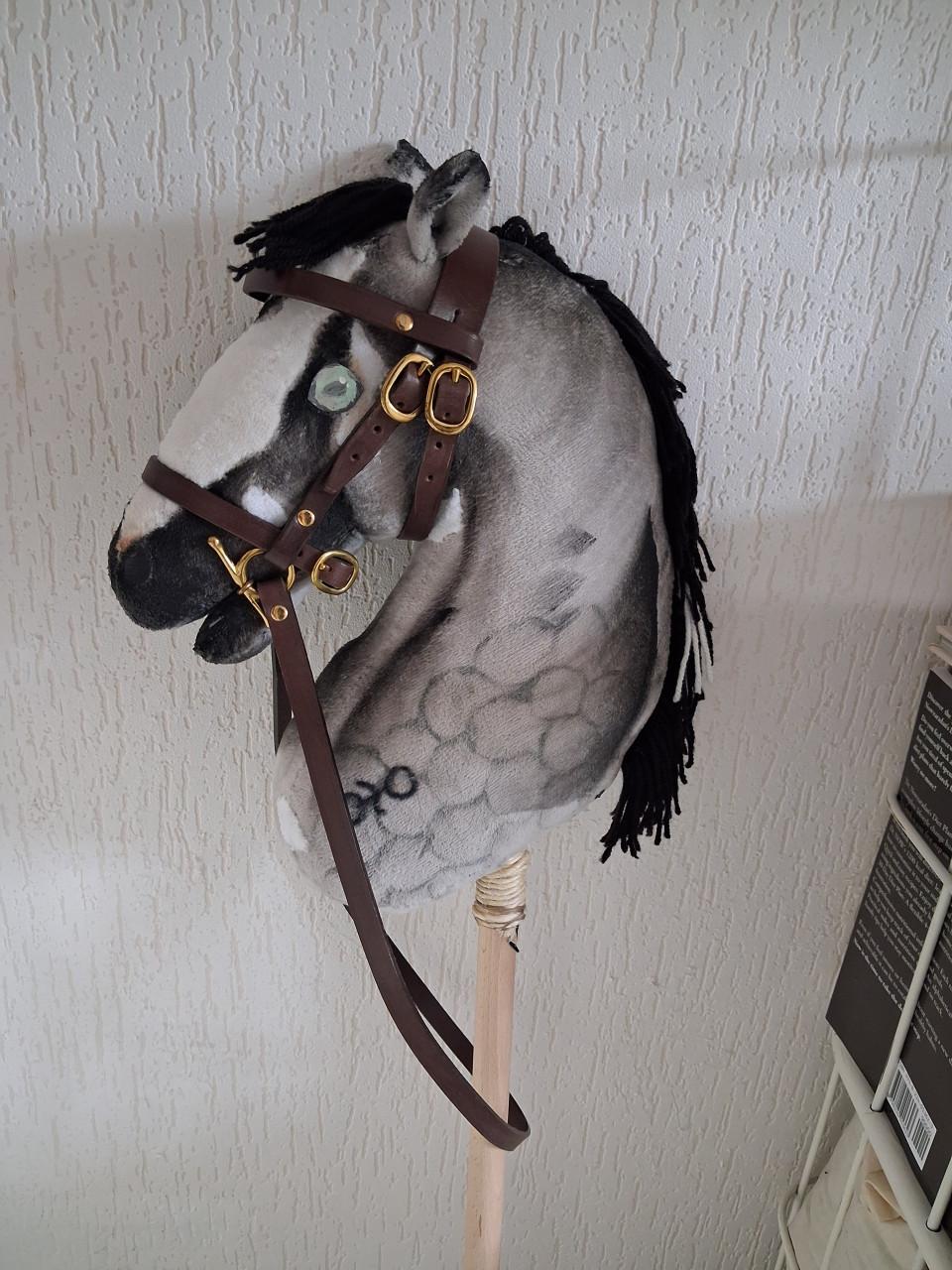 Hobby Horse met hoofdstel dekentje en halster