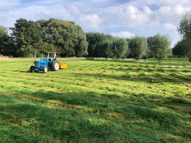 Kleine baaltjes weide hooi te koop