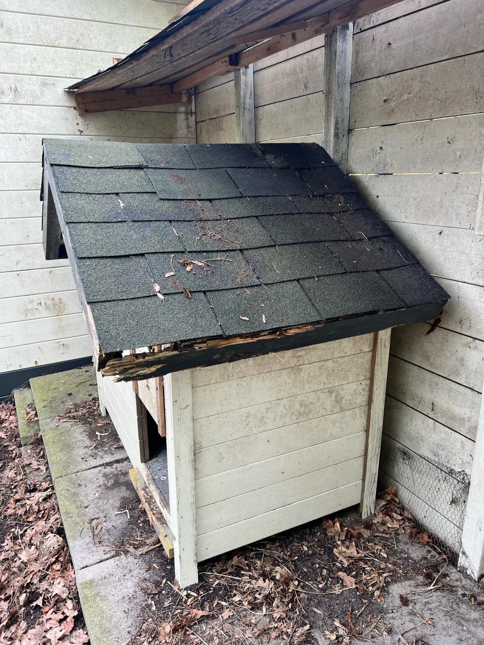 Gratis af te halen: kippenhok