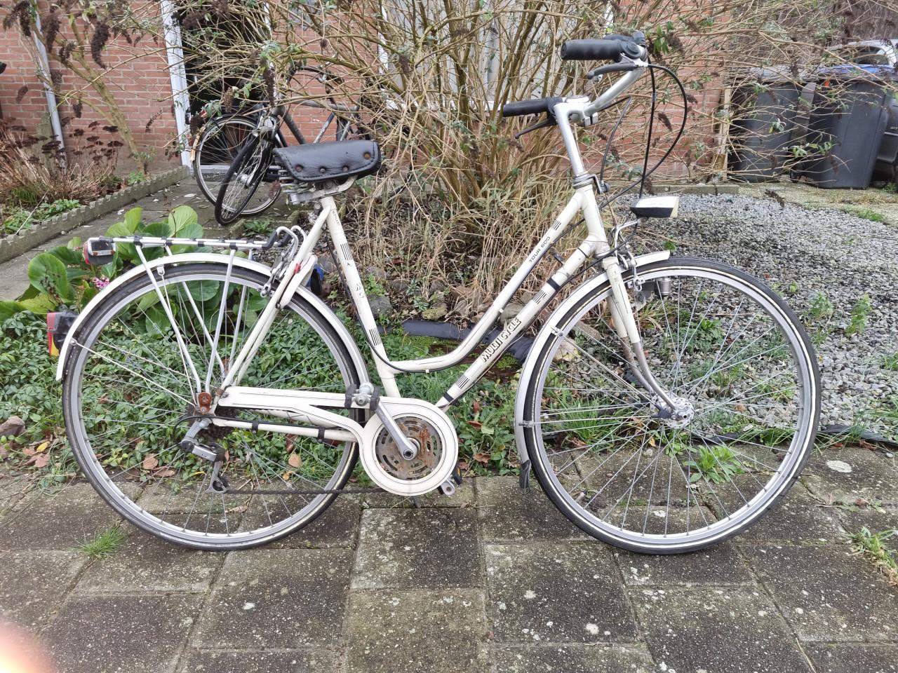 Te koop Multicycle dames fiets