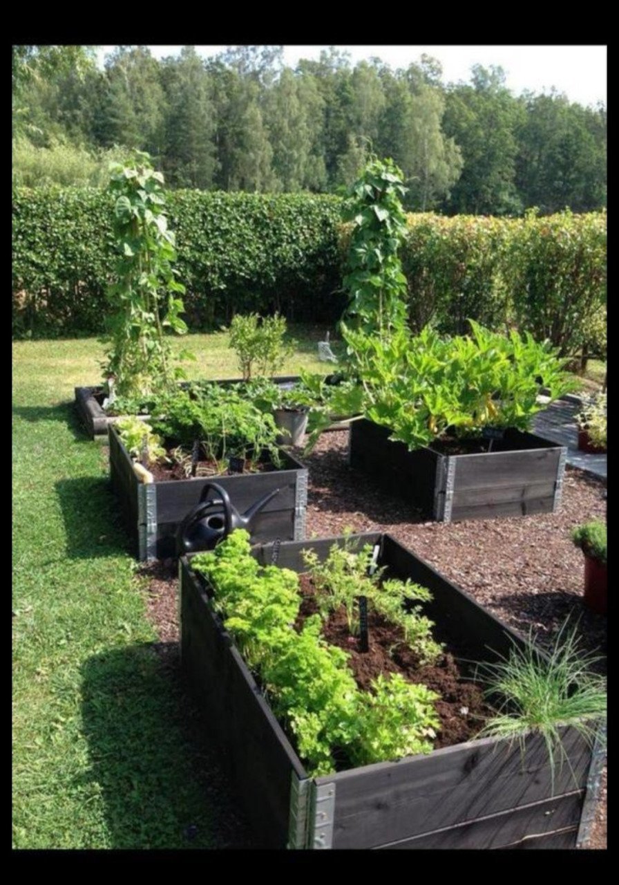 Pallet randen, palletranden, moestuin bakken.