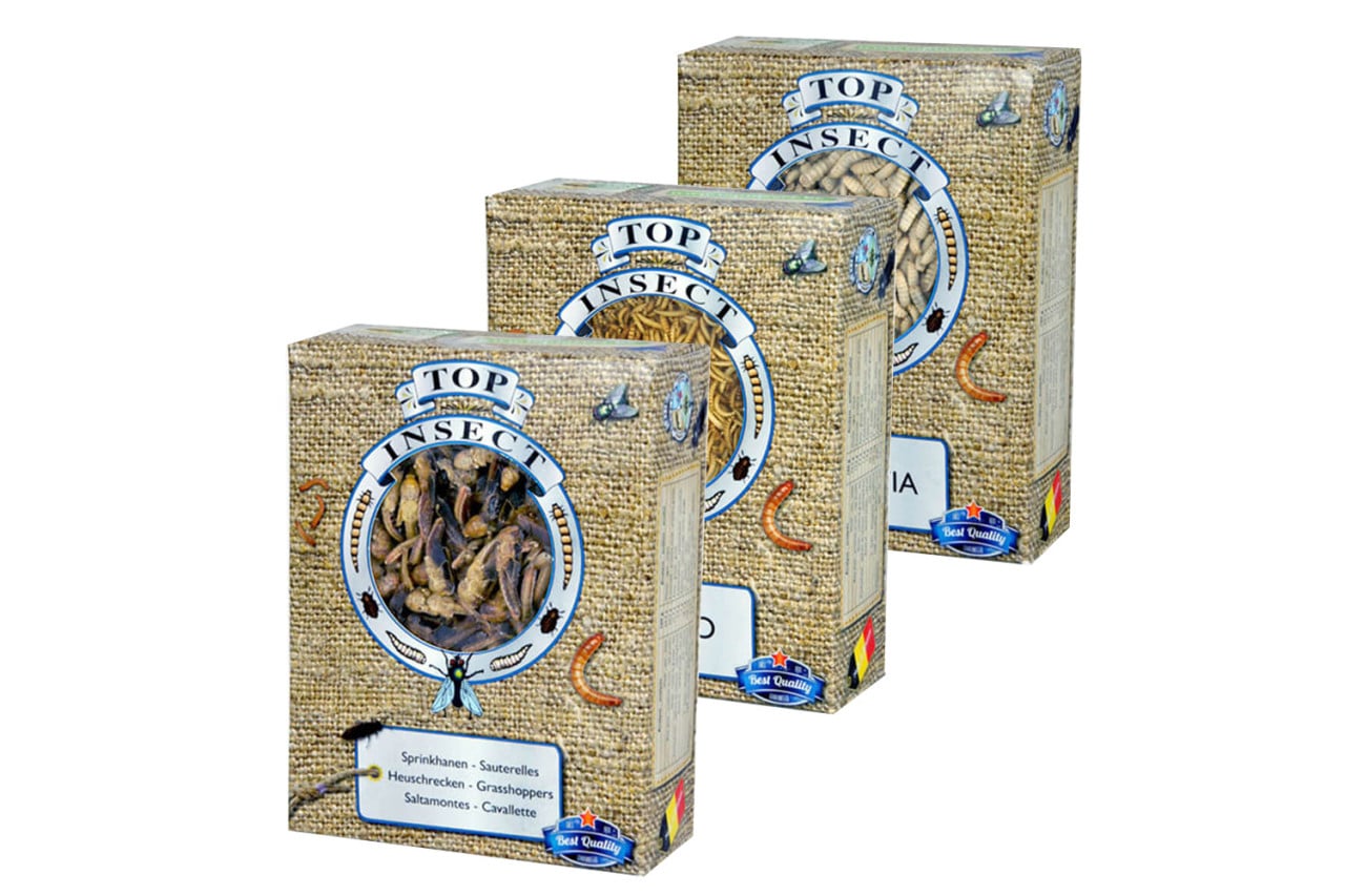 Levende en diepvriesinsecten