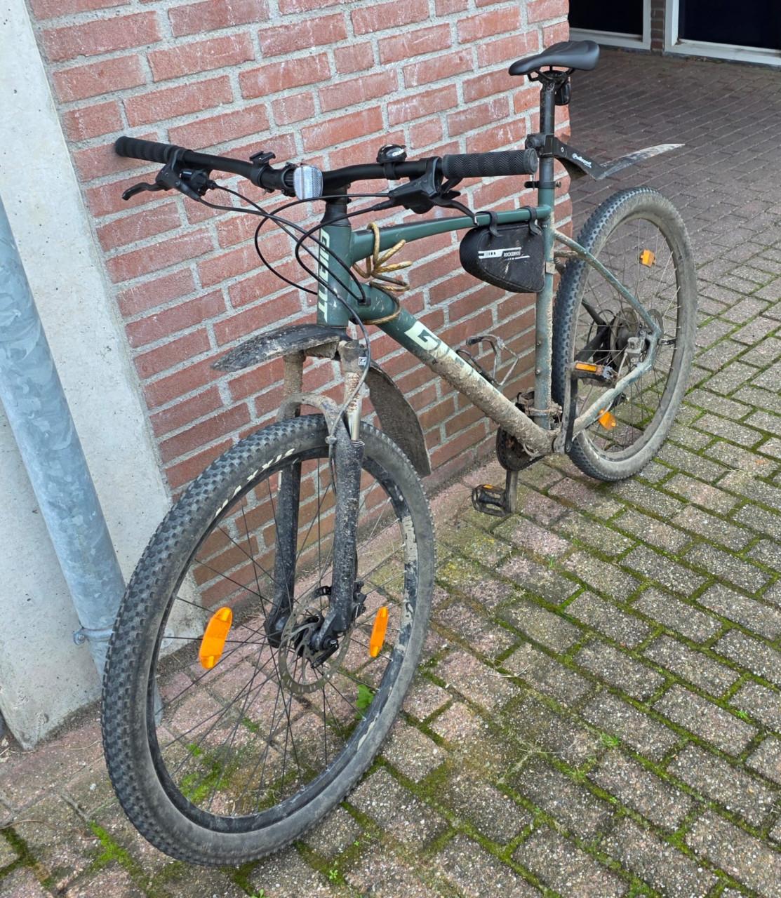 Mountainbike Giant Talon 3 29er 2021, maat XXL