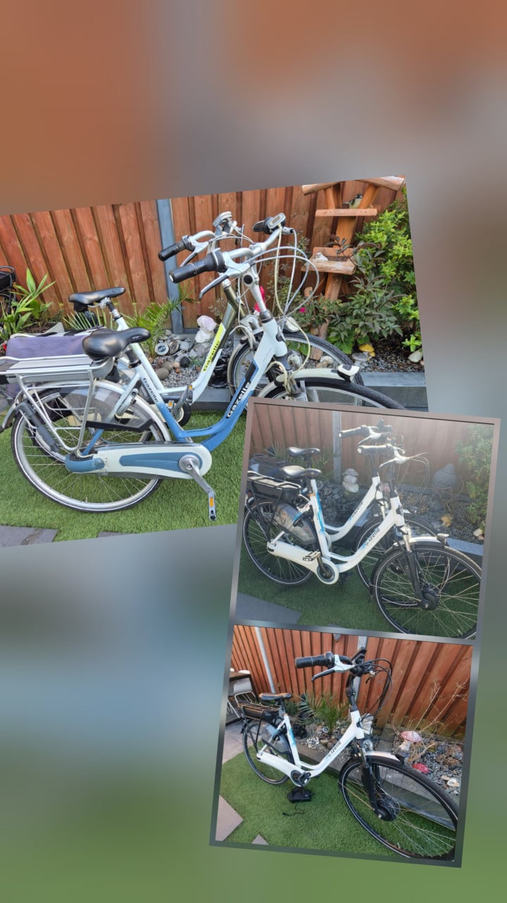 Elektrische fiets Gazelle | bezorgen mogelijk.