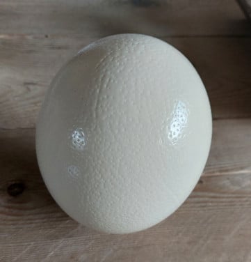 Struisvogel ei en halve struisvogel ei