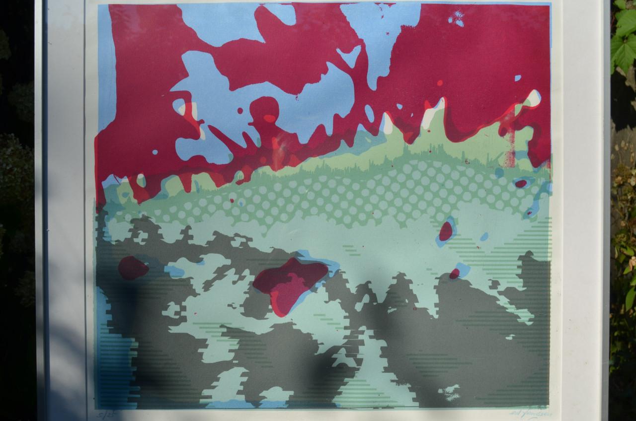 Mooie zeefdruk Ed Franssen