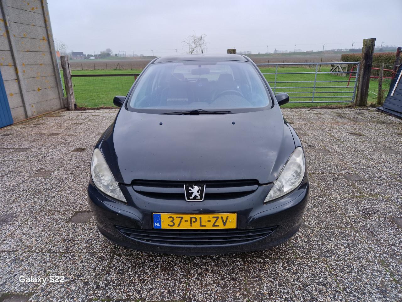 Peugeot 307