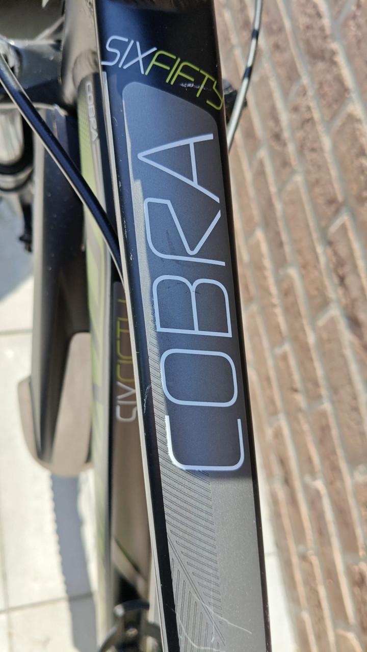 Olympia Cobra XL