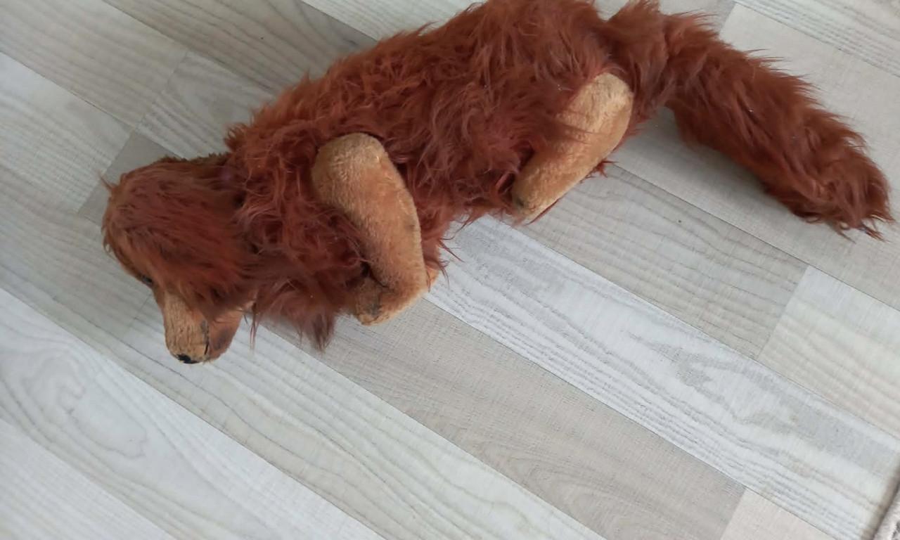 Vintage Steiff Teckel Dackel Langharig Knuffel Hond