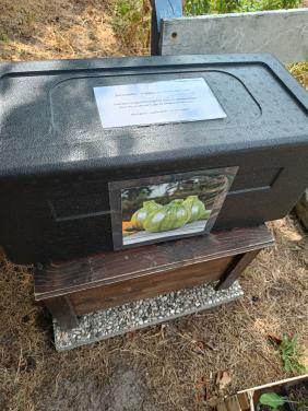 Verse bio bol courgettes