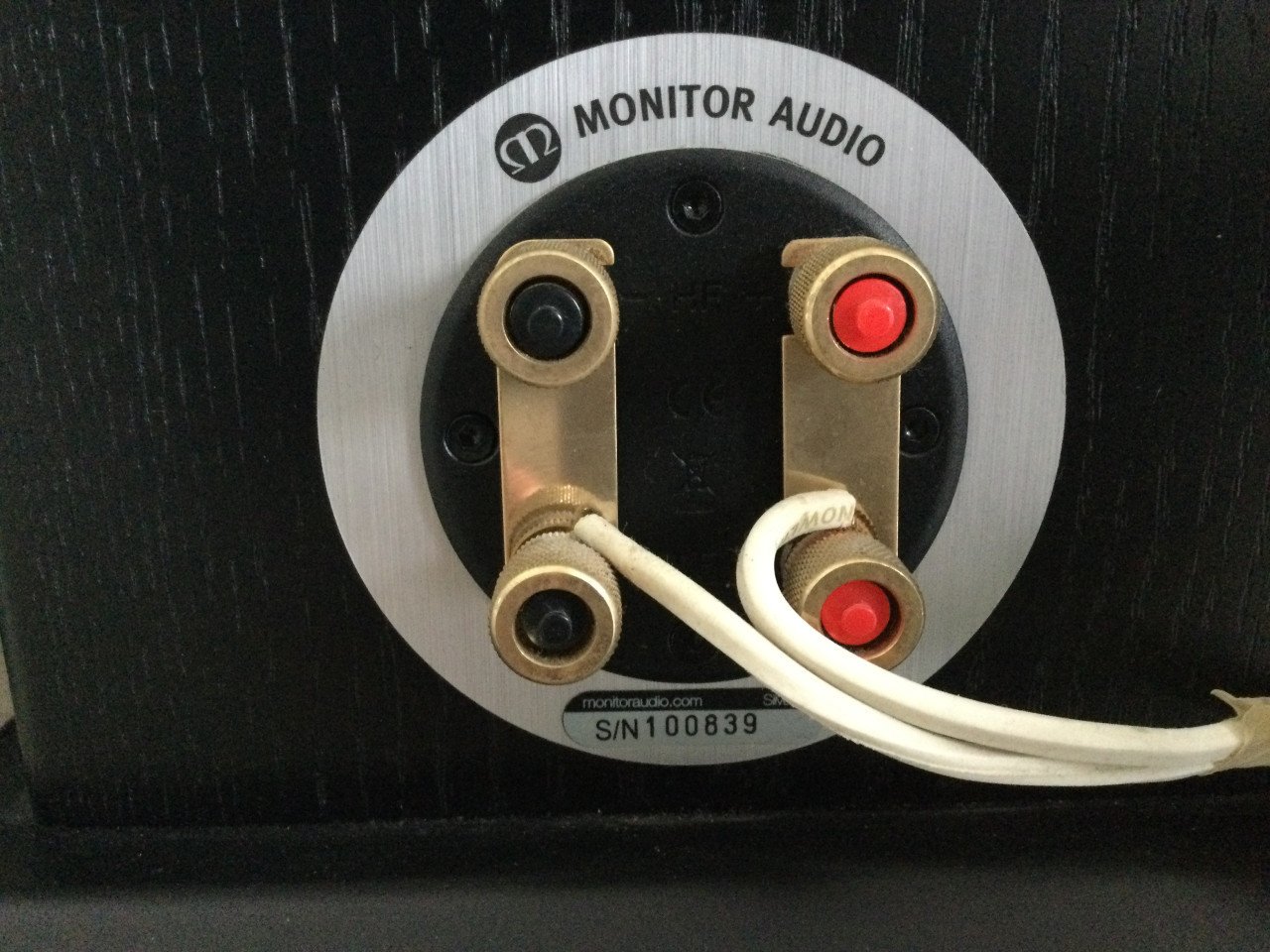 Speakers Monitor Audio