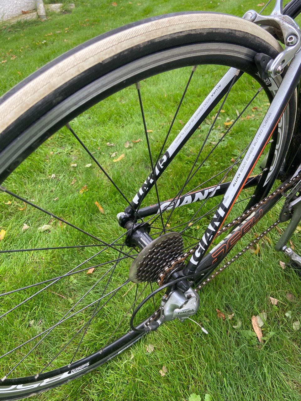 Giant Racefiets