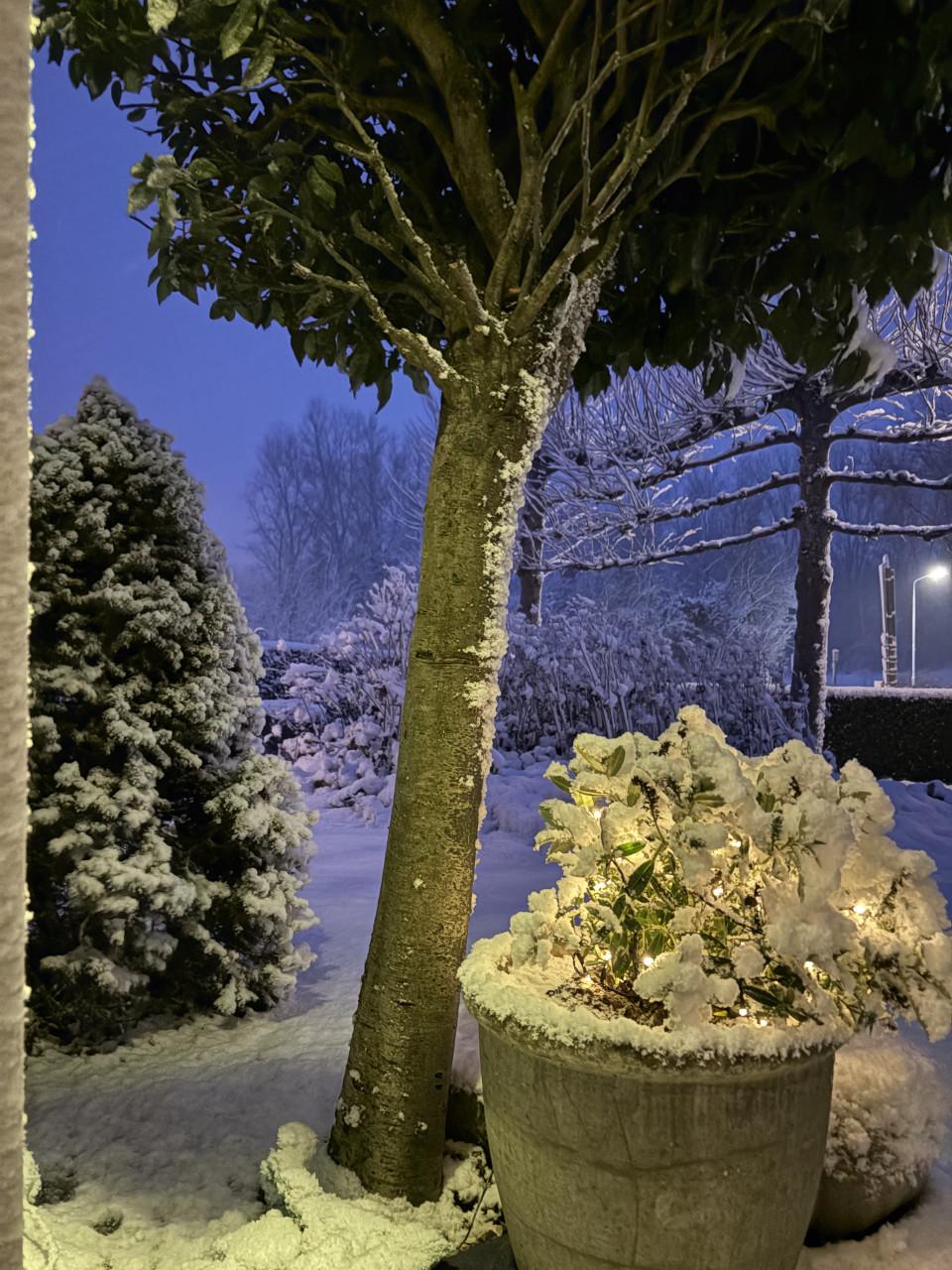 Nieuwe en bijna nieuwe zak Bio verpakkings materiaal