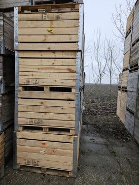 Fruitkisten. Voorraadbakken, Moestuinkratten, Houten kisten