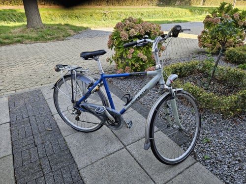 Herenfiets Gazelle